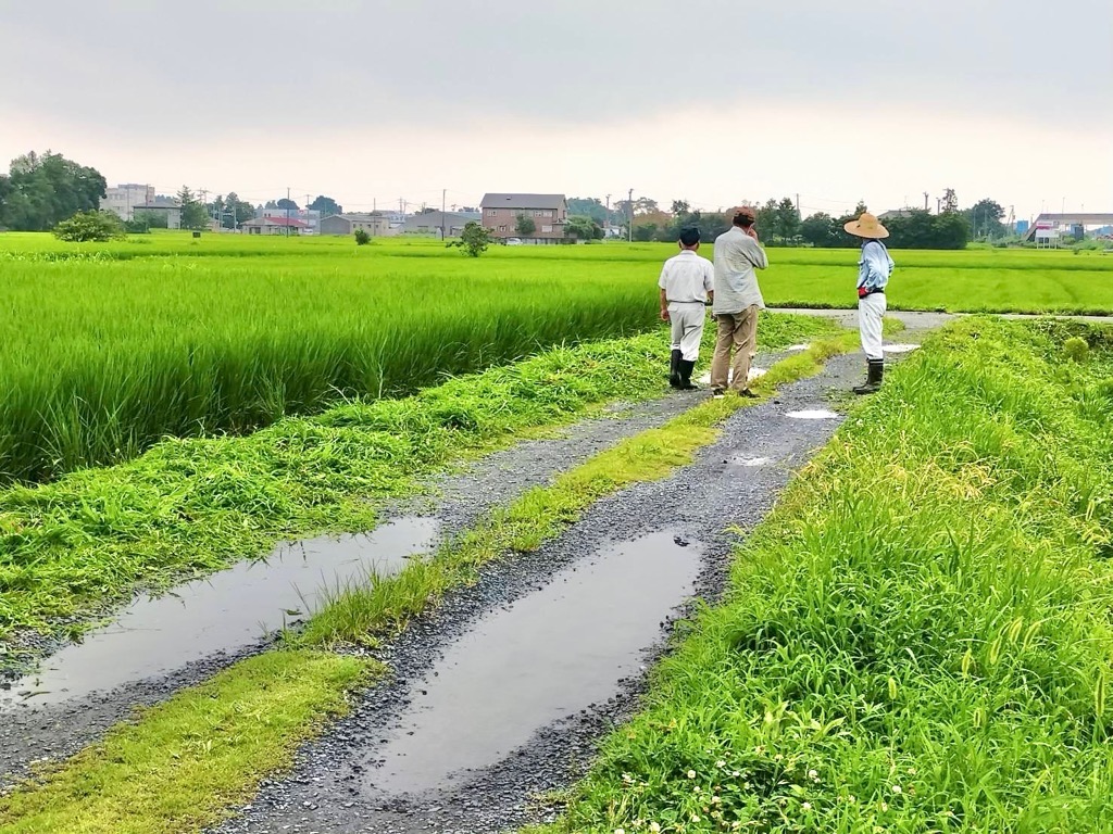 道路のくぼみを複数人で確認する様子