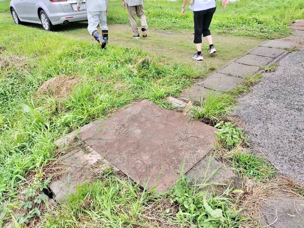 水路の機能を診断する様子