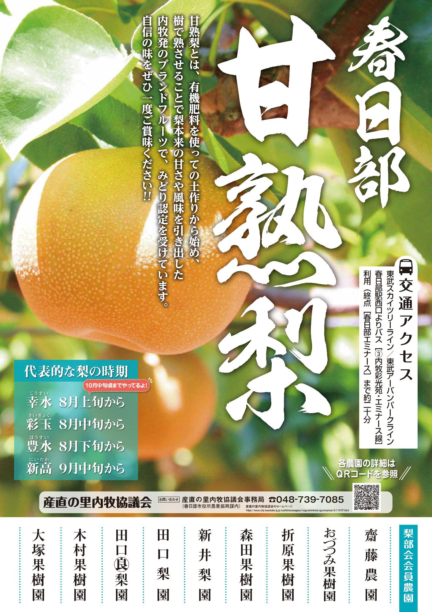 甘熟梨ポスター