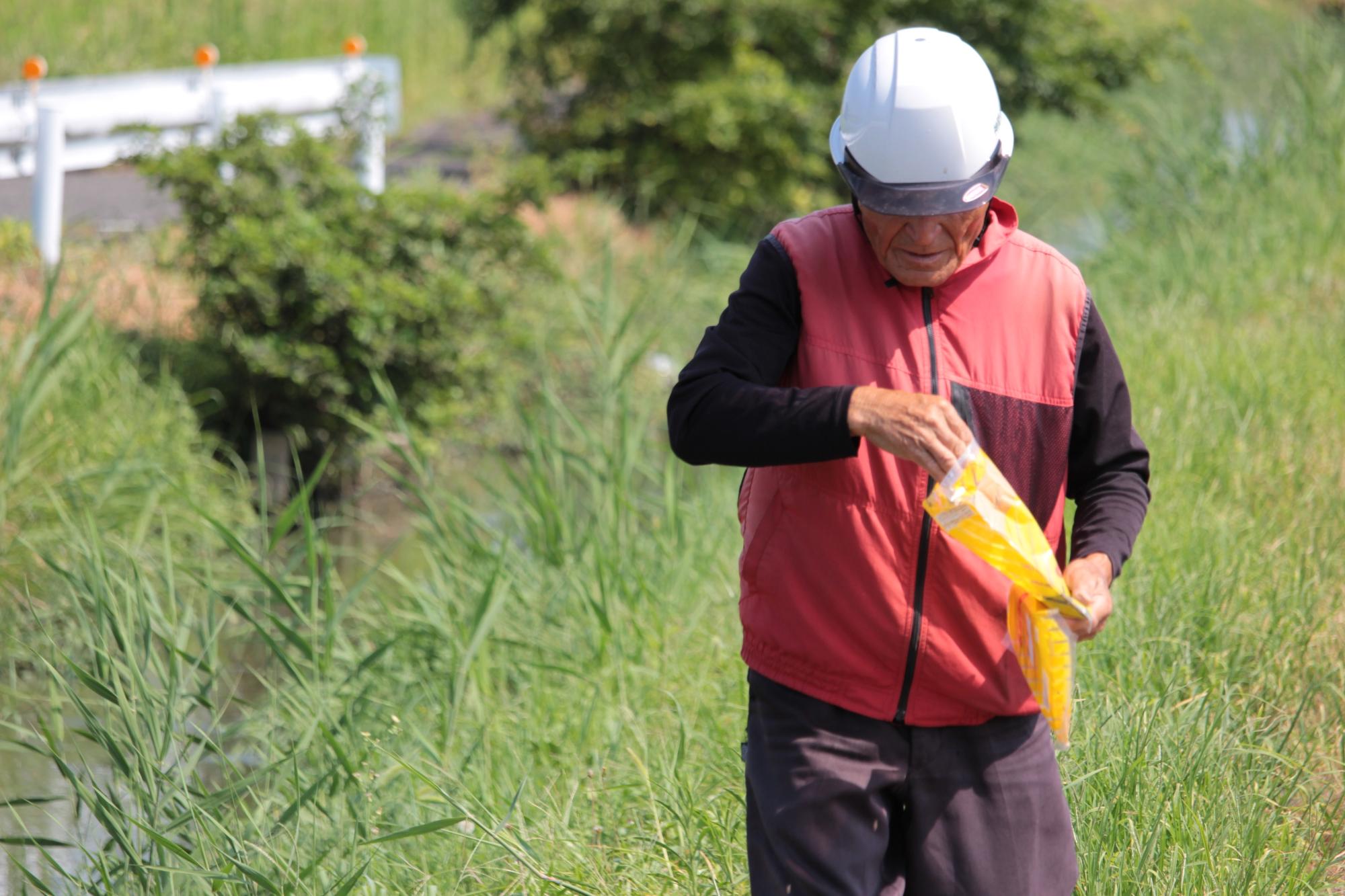 手際よく手作業で種をまく様子