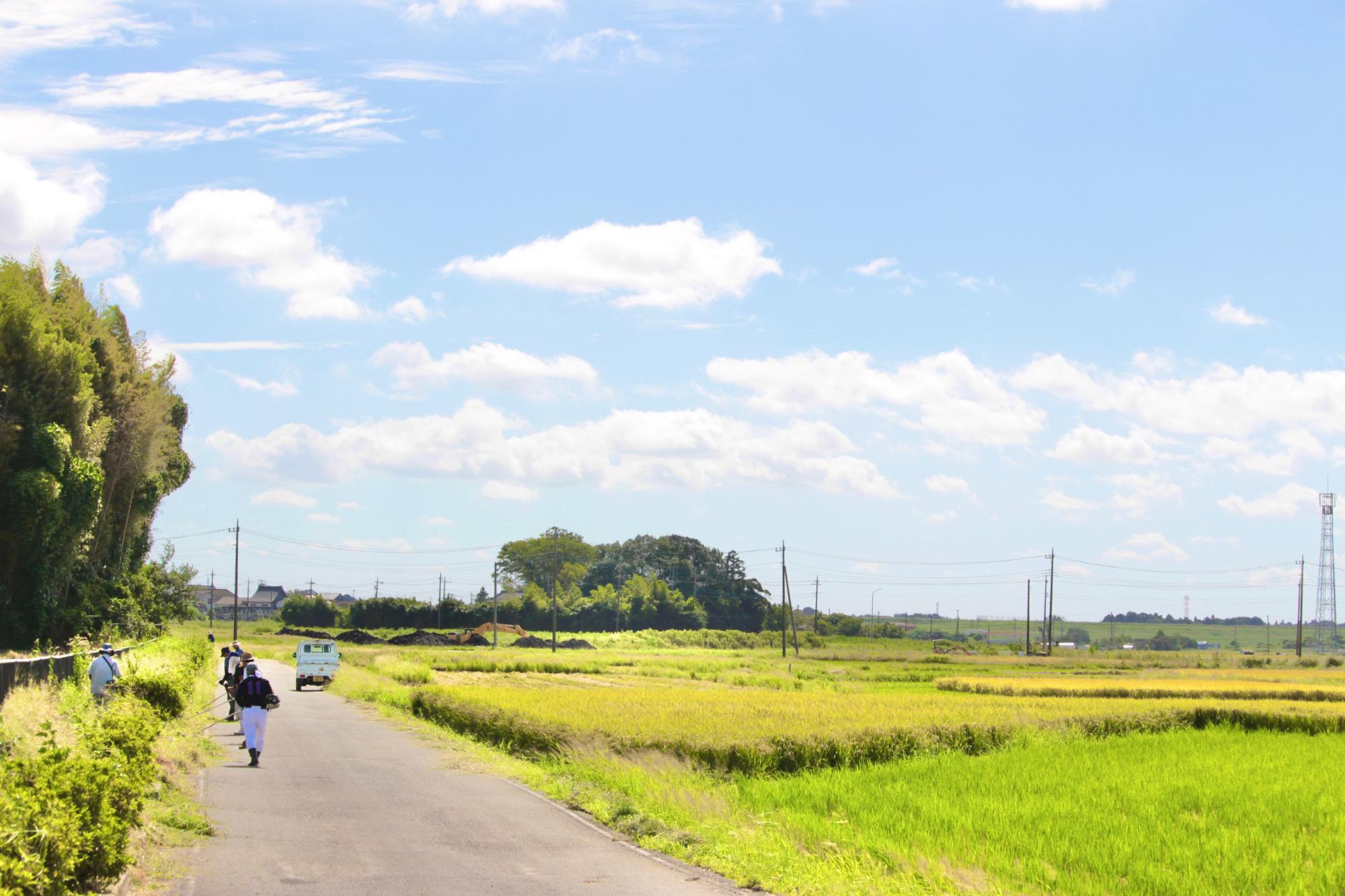 長い距離の草刈りをどんどん進めていく様子