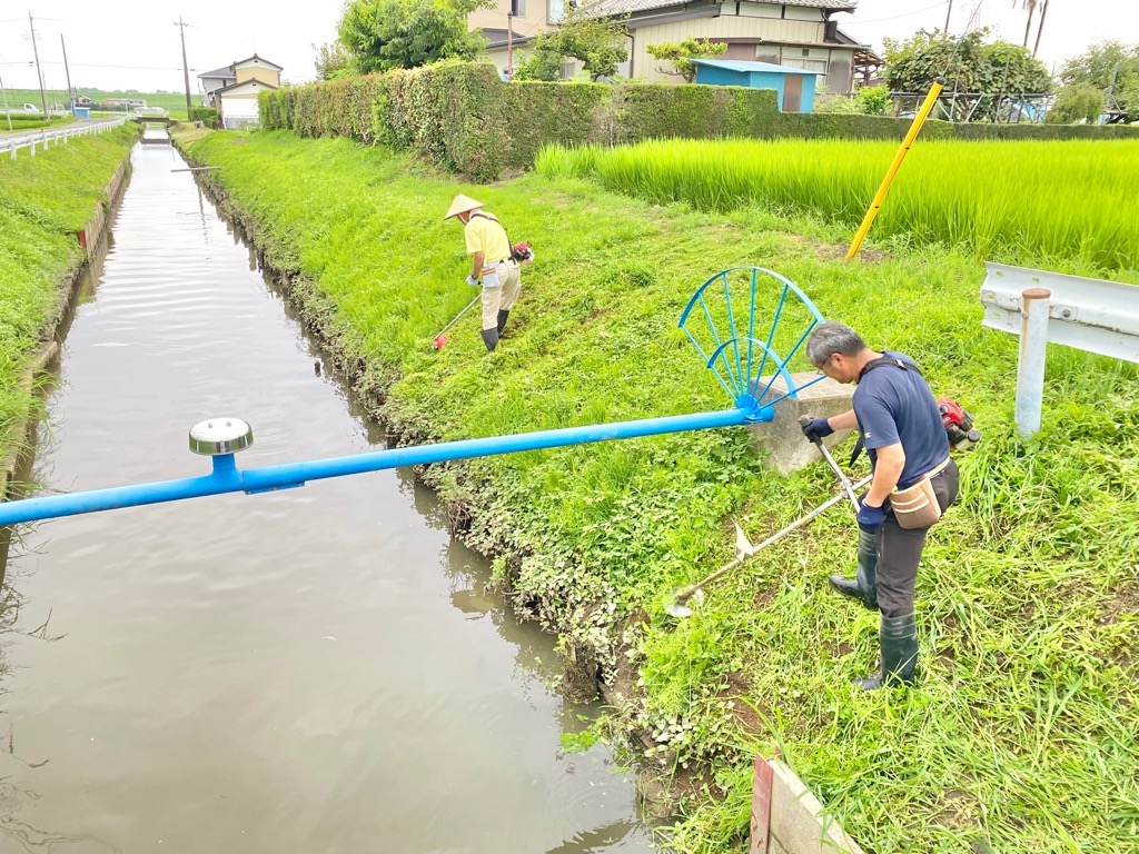 草刈り機を背負って水路の法面を草刈りする様子