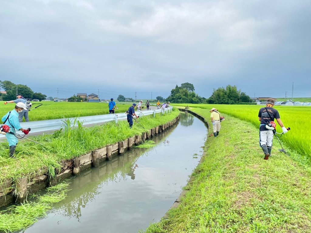 約40人が草刈りに参加