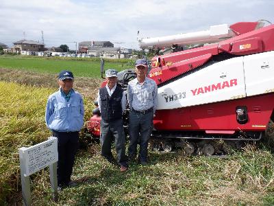 亜細亜のかおりの稲刈り風景