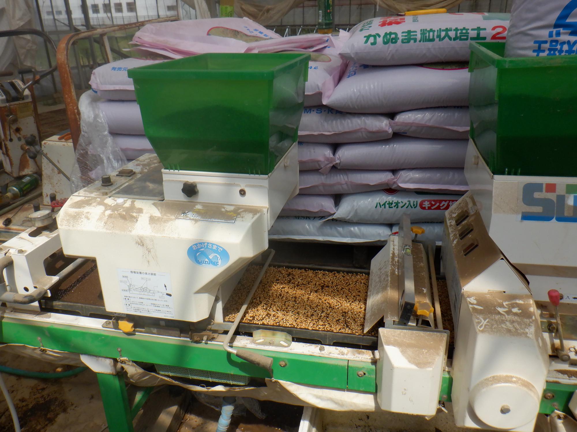 亜細亜のかおりの種播き風景