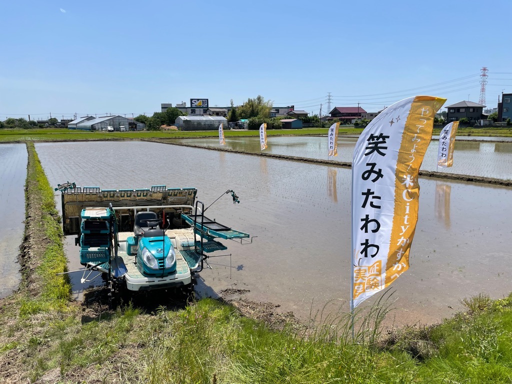 米粉適性米の田植え風景