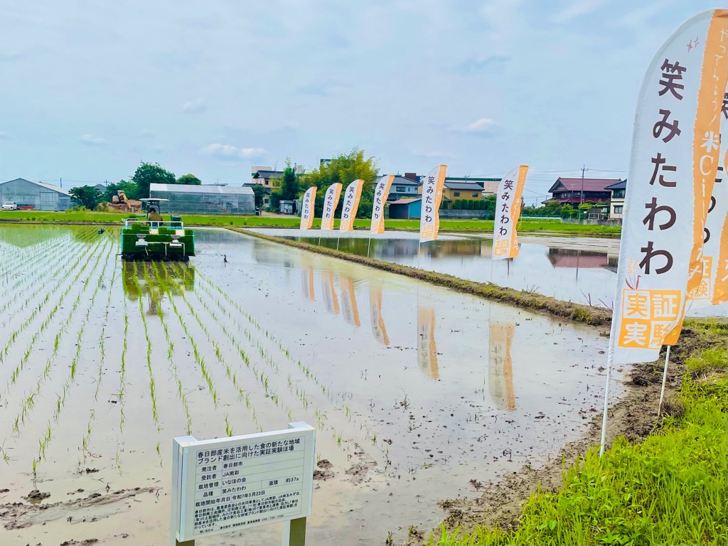 笑みたわわの田植え風景