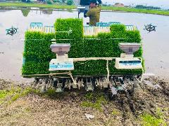 笑みたわわの苗を載せた田植え機