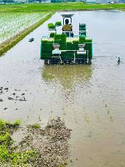 笑みたわわの田植機による田植え