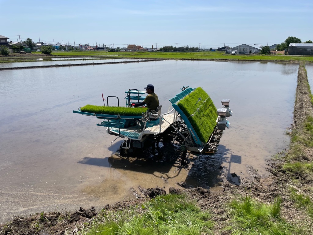 笑みたわわの田植え風景