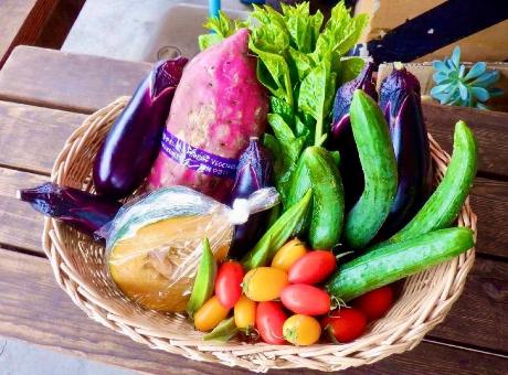 ミニトマトなど、季節の新鮮野菜をそろえています。