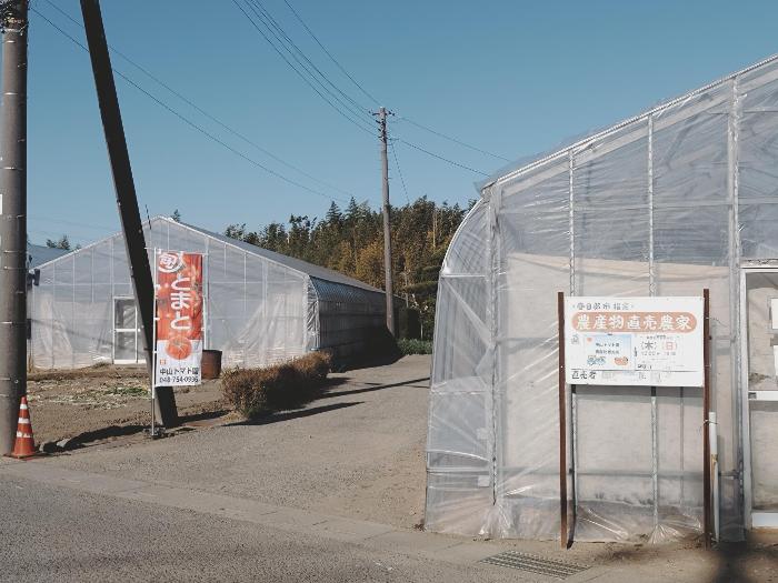 中山トマト園