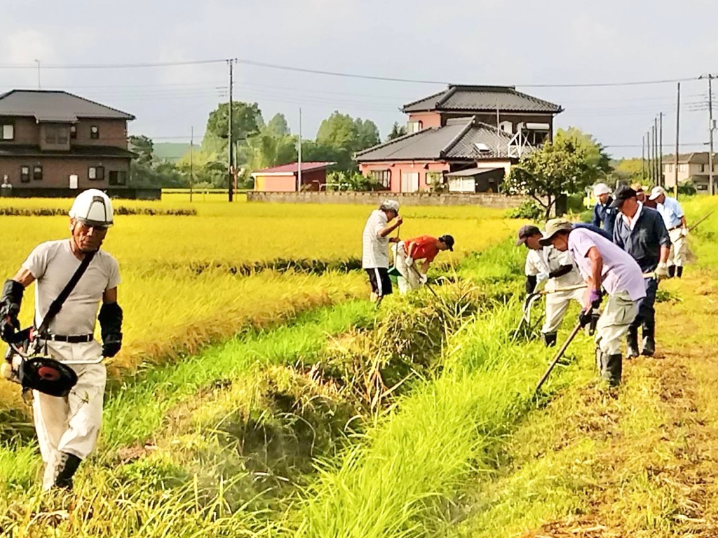 力を合わせて草を刈る様子