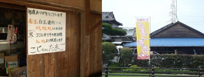 家屋の壁にかけられた小嶋養鶏の看板と、たまご直売ののぼりの写真が2枚並んでいる写真