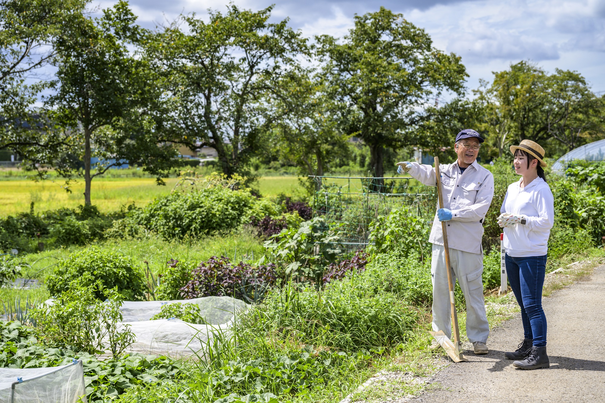 市民農園を見学する利用希望者