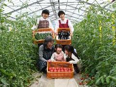 トマトクラブのハウスでの写真