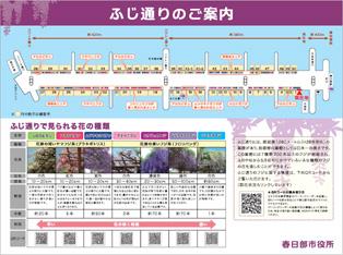 春日部市が設置したふじ通りの案内図
