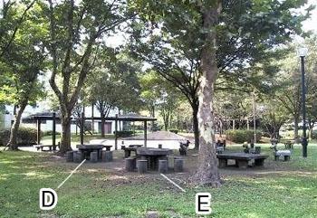 庄和体育館側のD・Eのテーブルを示している写真