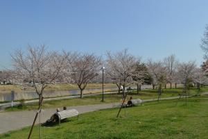 奥に大落古利根川を望む、川久保公園の遊歩道の写真