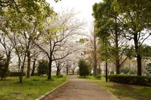 牛島公園の遊歩道の風景写真