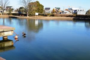 沼にかかる橋の南側より撮影された、薬師沼北岸の遠景写真