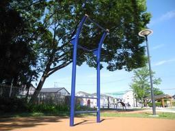 大枝公園敷地内に設置された、懸垂柱の写真