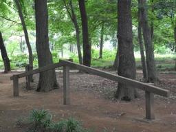 内牧公園敷地内の緑地に設置された、棒とびこしの器具の写真