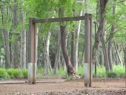 内牧公園敷地内の緑地に設置された、つり輪の写真