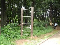 内牧公園敷地内の緑地に設置された、垂直はしごの写真