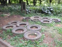 内牧公園敷地内の地面に埋め込まれた、タイヤ群の写真