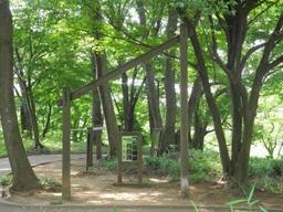 内牧公園敷地内の緑地に設置された、ジャンプタッチの器具の写真