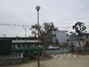 リニューアル後の武里第6公園のLED化された公園灯の写真