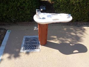 リニューアル後の大沼第2公園に設置した水飲み場の写真