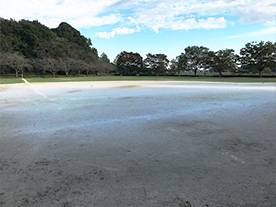 多目的広場の写真