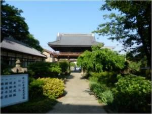 雲一つない晴天の下そびえ立つ木々に囲まれた小淵山観音院の本堂正面を参道側から撮影した写真