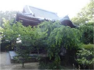 春日部市内にある木々に覆われた小淵山観音院の本堂をややローアングルで撮影した写真