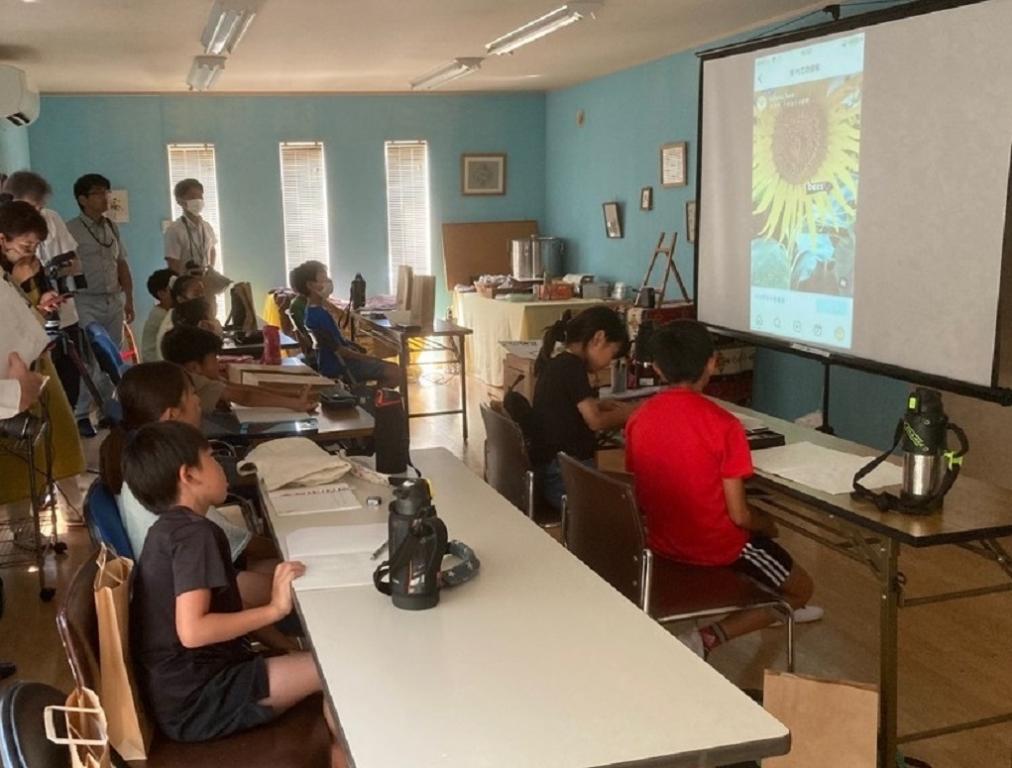 映像でミツバチの種類や生態を説明しています