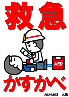 ポケット救急の表紙