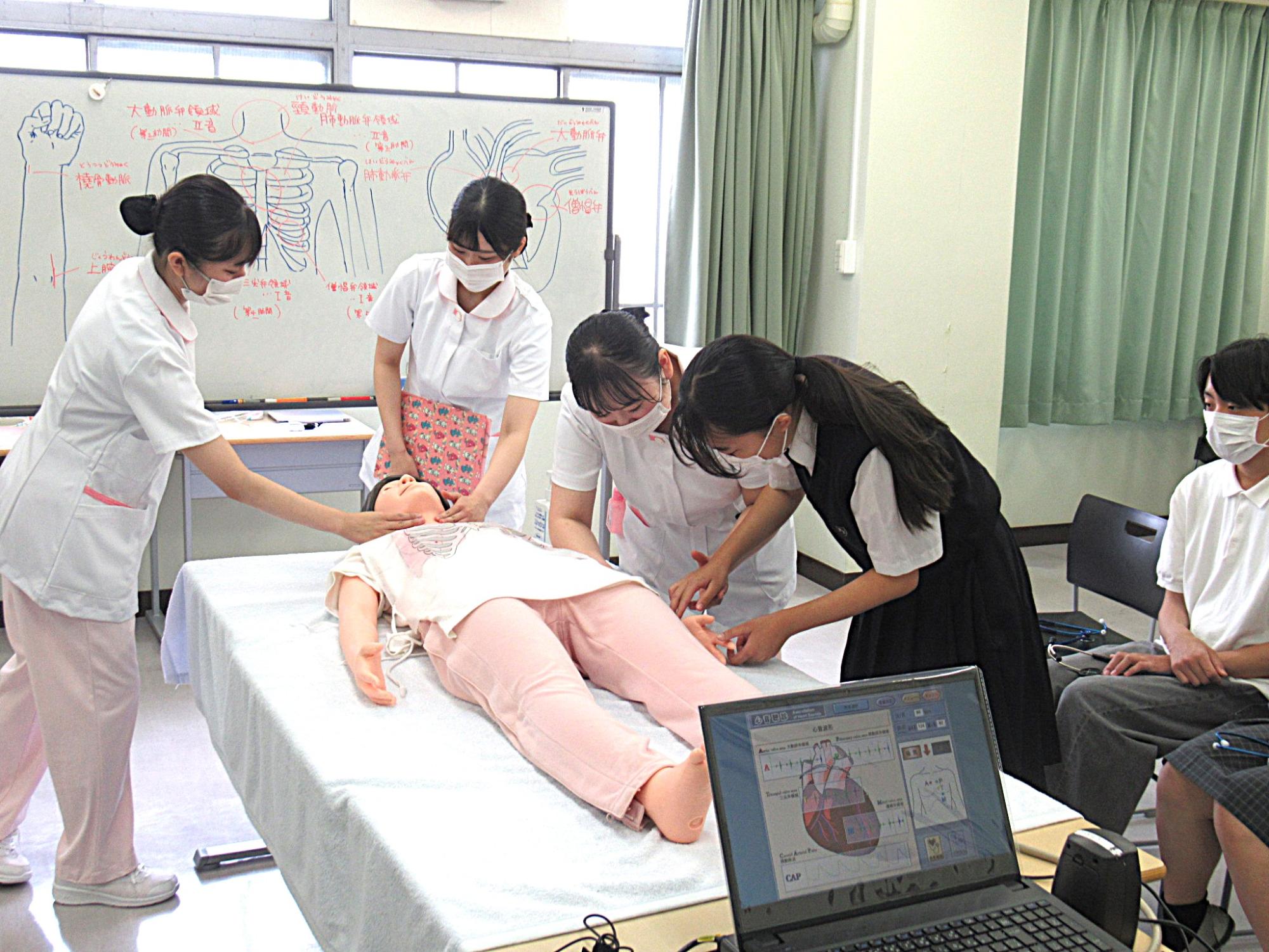 脈拍測定の様子