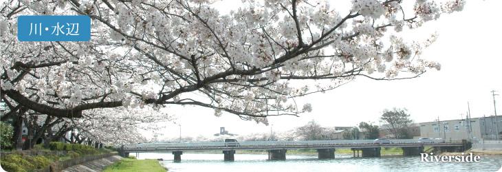 川・水辺 Riverside