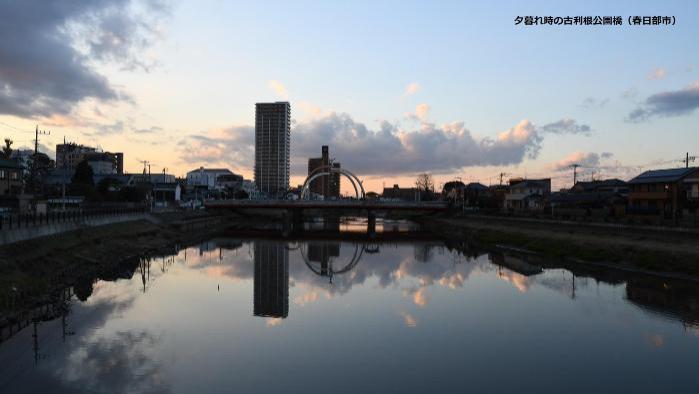 夕暮れ時の古利根公園橋を撮影した風景写真