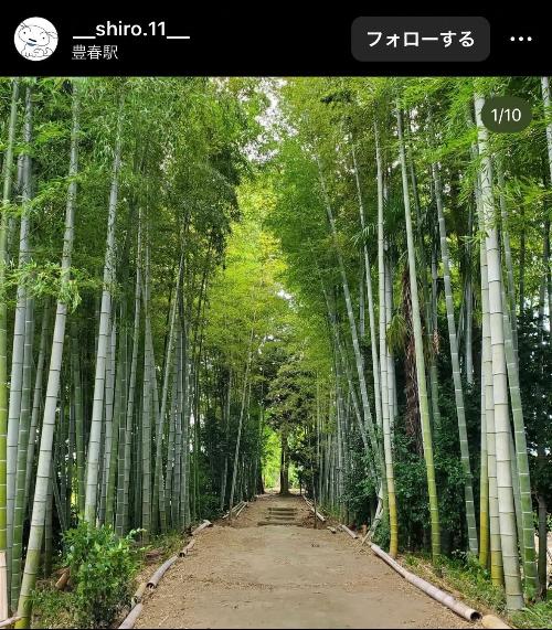 古利根緑道の写真