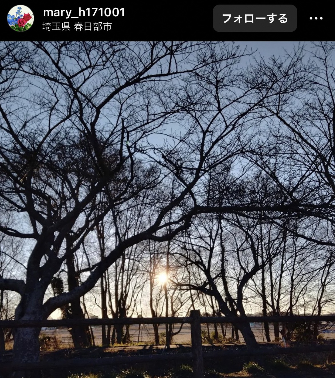 画像:インスタグラムで投稿された写真（庄和の朝日）