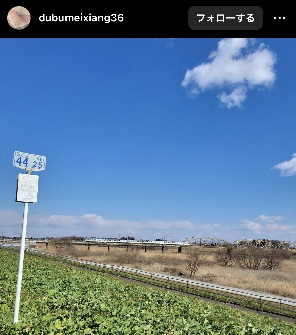 画像:インスタグラムで投稿された写真（江戸川の土手）