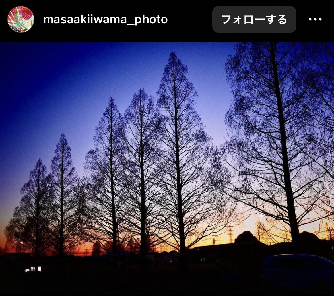 画像:インスタグラムで投稿された写真（大沼公園）