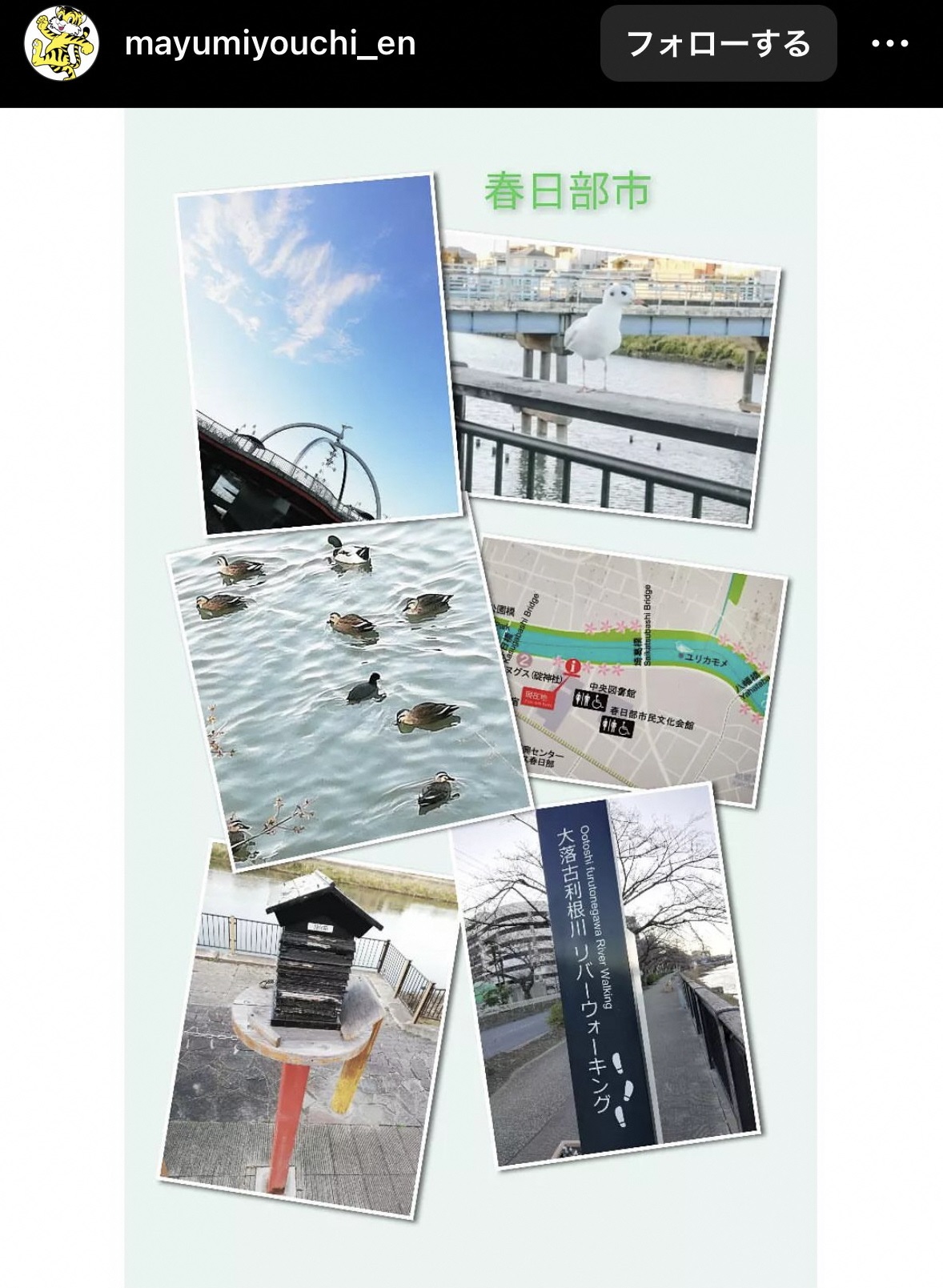 画像:インスタグラムで投稿された写真（古利根公園橋）