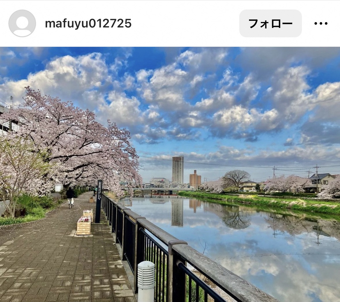 8月インスタグラムキャンペーン投稿写真27