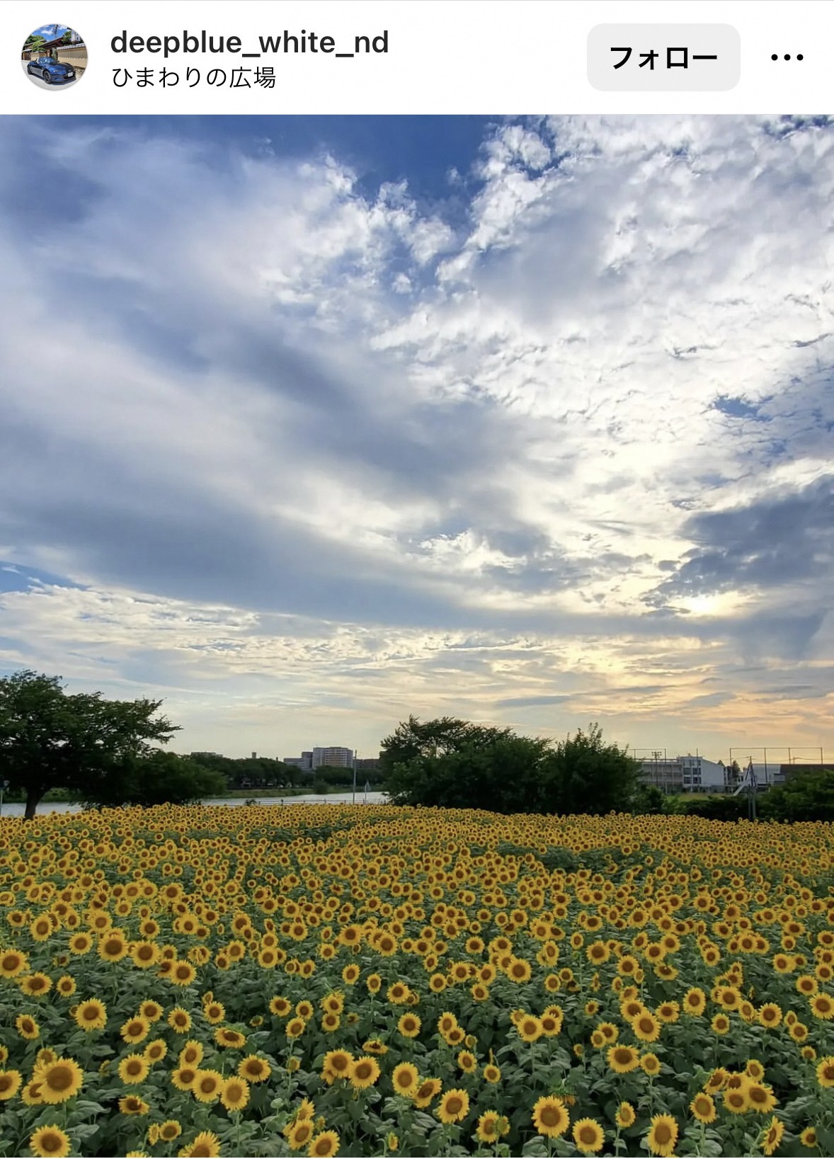 8月インスタグラムキャンペーン投稿写真9