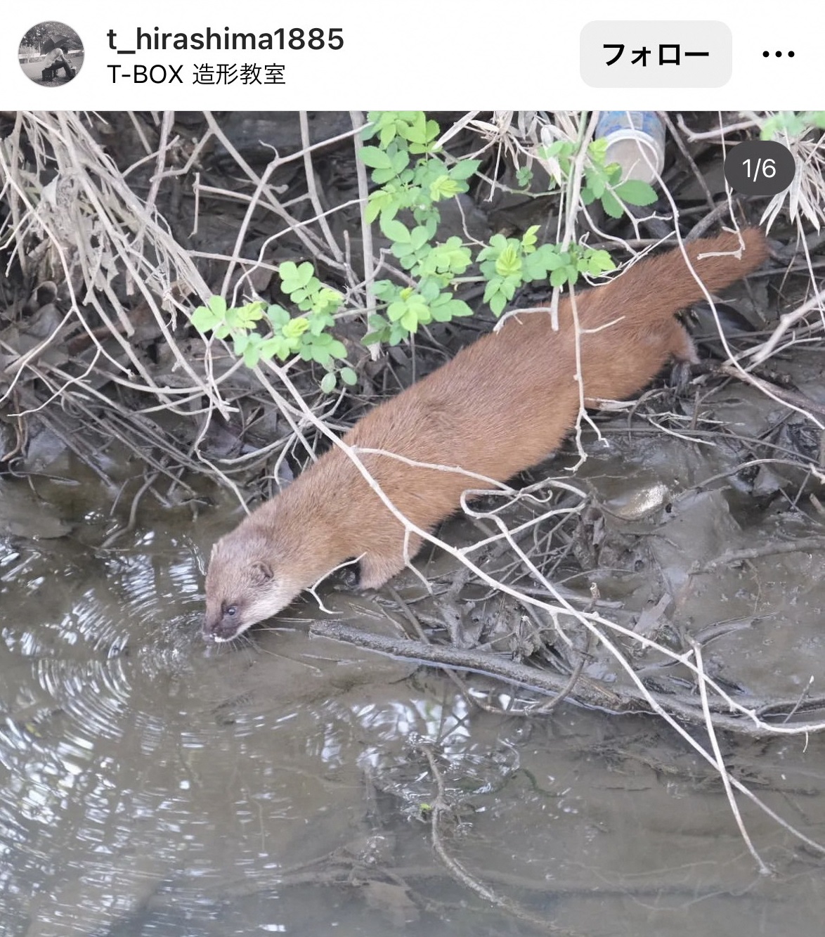 8月インスタグラムキャンペーン投稿写真23