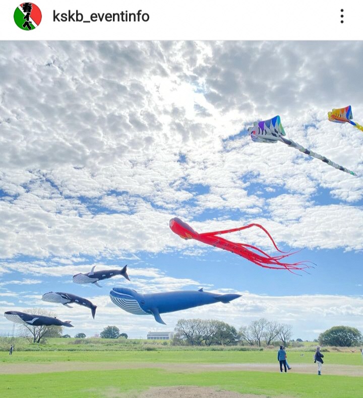 空に浮かぶくじらの凧の写真（kskb_eventinfoさんの投稿）